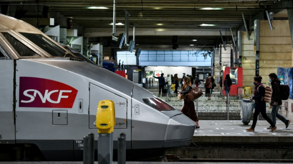 Votre chat est sous un TGV? La SNCF lui donne d&eacute;sormais 20 minutes