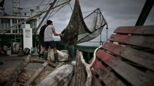 A bord de l'Itsas-Bellara, le bateau p&ecirc;cheur de d&eacute;chets flottants au Pays basque