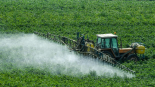 Los pesticidas, cada vez más utilizados en la agricultura mundial