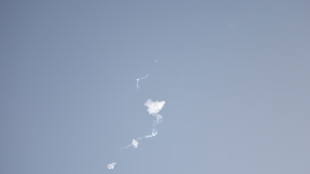 Arabia Saudita, 'colpita Riad, ci riserviamo diritto di rispondere'