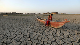 Global warming palpable for 96% of humans: study