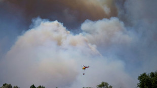 Waldbrand in Spanien: Mindestens elf Tote und 19 Vermisste