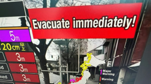 Violentos sismos en Jap&oacute;n provocan alertas de tsunami en el Pac&iacute;fico
