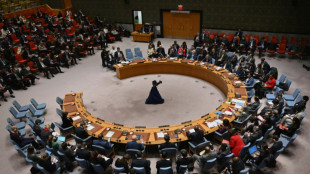 Rusia y China vetan en el Consejo de Seguridad la resoluci&oacute;n de EEUU para la tregua en Gaza