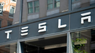 California suit accuses Tesla of racial segregation at factory