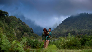 Indonesia, Norway ink deal to reward rainforest protection