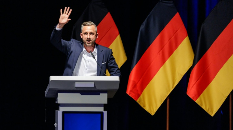 Germany's far-right AfD promises 'boom' but economists fear worst