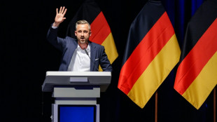 Germany's far-right AfD promises 'boom' but economists fear worst