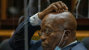 Rampant graft under S.Africa's Zuma detailed in new report