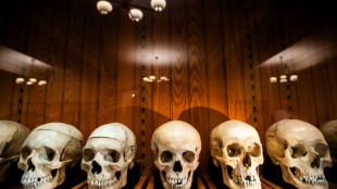 Unnamed skeletons? US museum at center of ethical debate