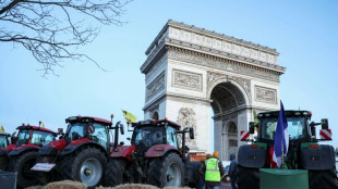 Dozens arrested at farmers' protest on Champs-Elysees in Paris