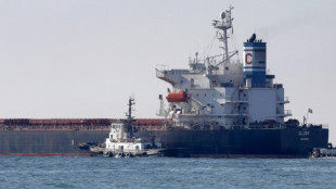 Reflotado el buque encallado en el Canal de Suez, tr&aacute;fico normal