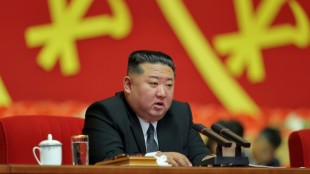 North Korean IT contractor found remote work in New Zealand: agency