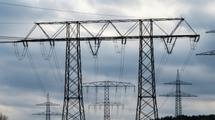 Zur St&auml;rkung der Wirtschaft: &Ouml;konom bringt Strompreisbremse bis 2030 ins Spiel