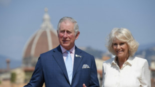 Camilla: from Diana's 'rottweiler' to Charles' Queen Consort