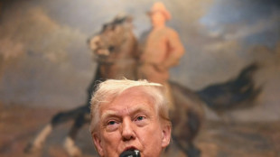 Trump celebra tarifas: 'Tornam os EUA grandes e ricos de novo'