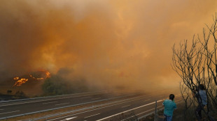 Fires keep burning in western Spain as army is deployed