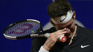Del Potro, eying retirement, pulls out of Rio Open