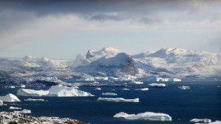 Greenland ice cap loses enough water in 20 years to cover US: study