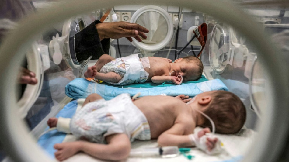 Los beb&eacute;s prematuros comparten incubadora en un hospital de Gaza