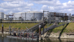 Il petrolio chiude in rialzo a New York a 60,48 dollari