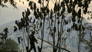 Capturan en Colombia a sospechosos de asesinar a un reputado biólogo italiano