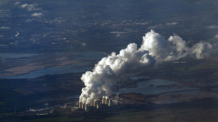 Explosives used in sabotage attack on German power lines