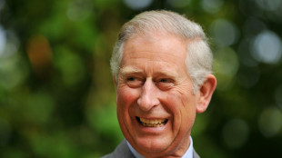 'Black spider' letters, Diana divorce: Charles's biggest scandals