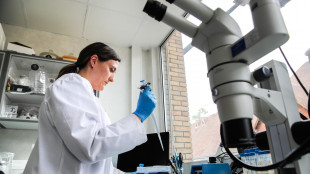 Lo zucchero &egrave; il nuovo giocatore nella partita con l'Alzheimer