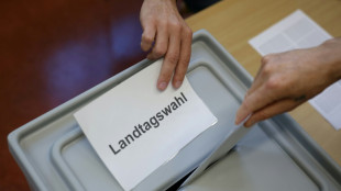 Landtagswahl in Schleswig-Holstein: Fraktionschef Dirschauer ist SSW-Spitzenkandidat