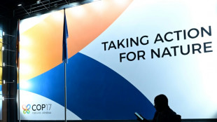 Nations accused of undermining science at UN nature talks