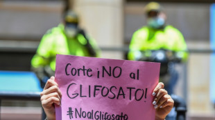Corte frustra planes de Duque de reanudar fumigaciones antidrogas en Colombia