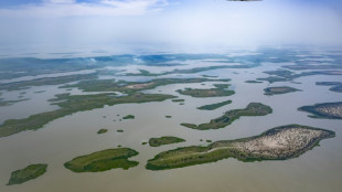 Boko Haram denies Nigerien army claim to have killed leader