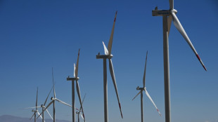 Hydrogène vert: le Chili vient en Europe chercher des investisseurs