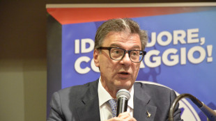 Giorgetti, Irpef e rottamazione obiettivo, seguendo priorit&agrave;