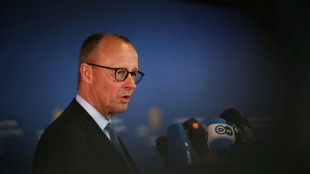 Merz says no 'immediate' Ukraine EU membership, floats Kyiv joining meetings