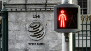 'No basis': Beijing dismisses US's WTO criticism