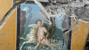 New frescoes emerge from ash of Pompeii