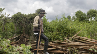 Au Kenya, des chasseurs-cueilleurs expuls&eacute;s de leurs for&ecirc;ts ancestrales