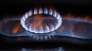 Il prezzo del gas apre in rialzo a 32,58 euro