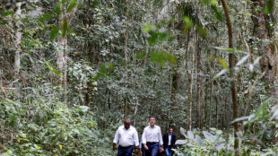 French leader goes green to woo Pacific islands