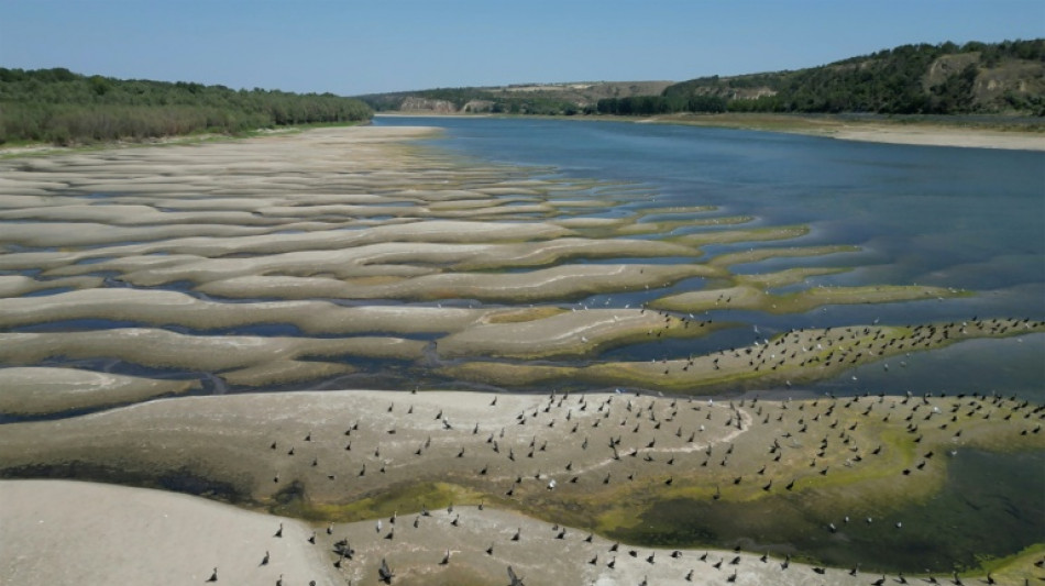 Niedrigwasser: Rum&auml;nien beginnt Abschaltung von Atomkraftwerk
