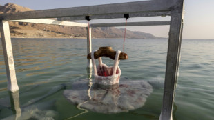 Salt of the earth: Israeli artist's Dead Sea sculptures