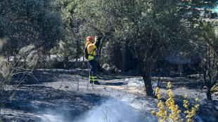 Estabilizado el incendio en el sur de España y autorizado el regreso de 1.500 turistas desalojados