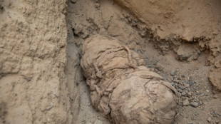 Ancient mummies of children, likely sacrificed, unearthed in Peru