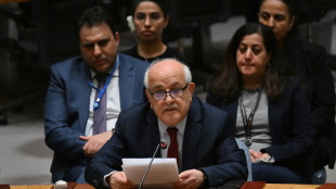Security Council to vote Thursday on Palestinian state UN membership