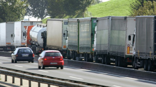 &Uuml;berf&uuml;llte Rastanlagen: Digitaler Informationsdienst zeigt freie Lkw-Parkpl&auml;tze