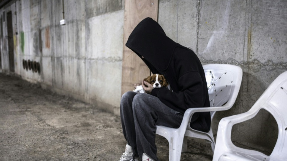 Isra&euml;l: sous les missiles iraniens, une vie de chiens