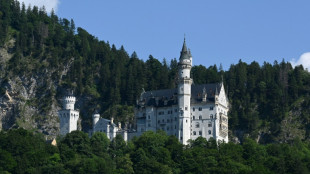 Touristin sperrt Hund in Schließfach - und besucht Neuschwanstein