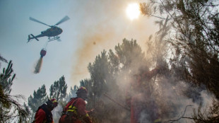 Studie: Waldbr&auml;nde werden immer schlimmer und bef&ouml;rdern die Klimakrise